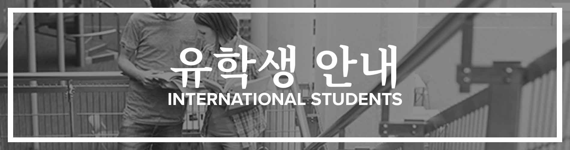 Korean International Students Banner